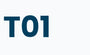T01 
