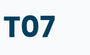 T07 