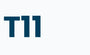 T11 