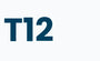 T12 