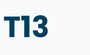 T13 