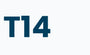 T14 