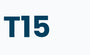 T15 
